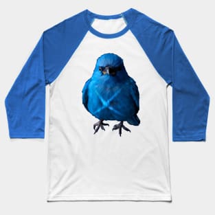 Blue Bird X Baseball T-Shirt